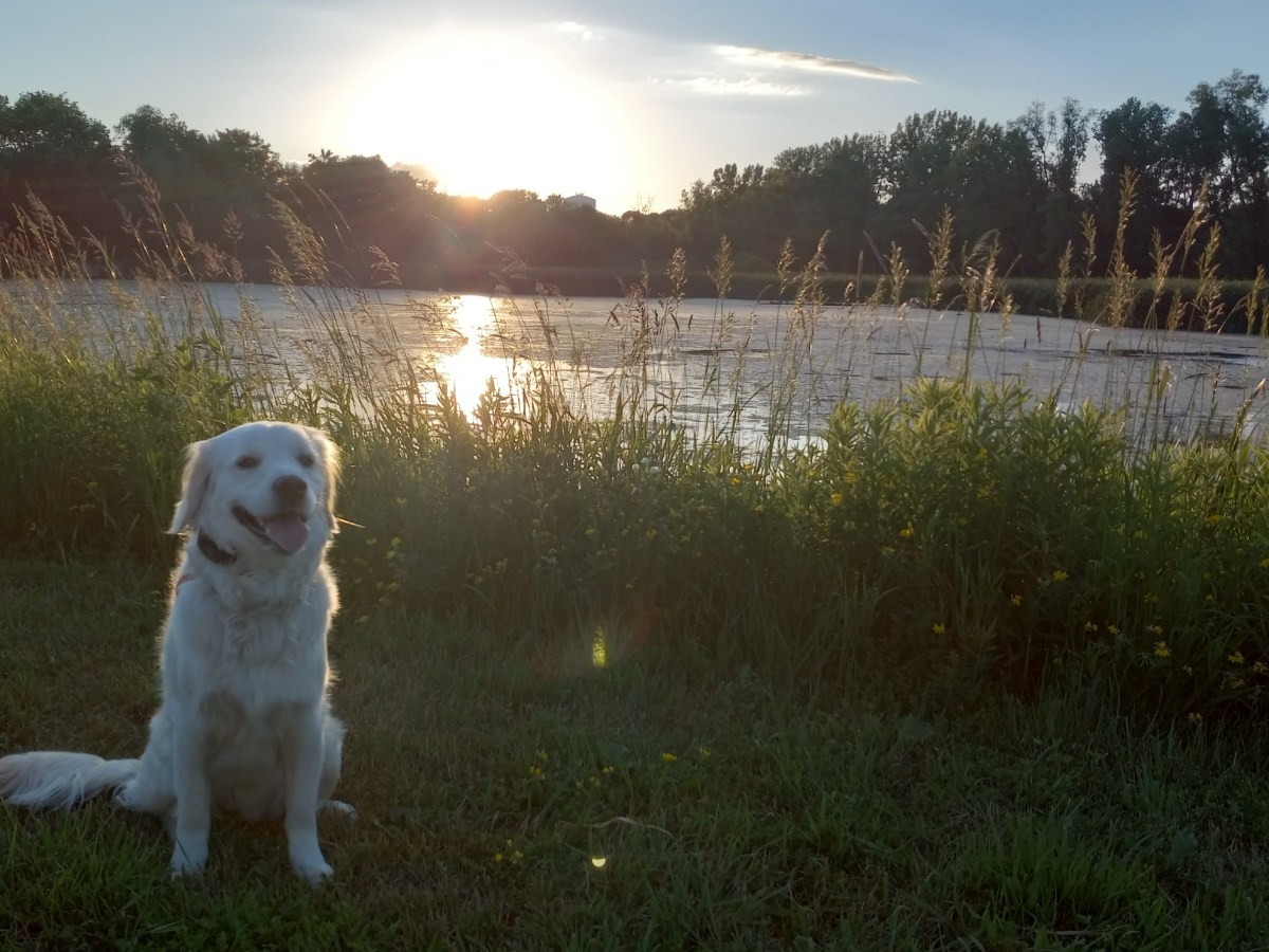 Portrait of a Good Boy: Axel’s First&nbsp;Year