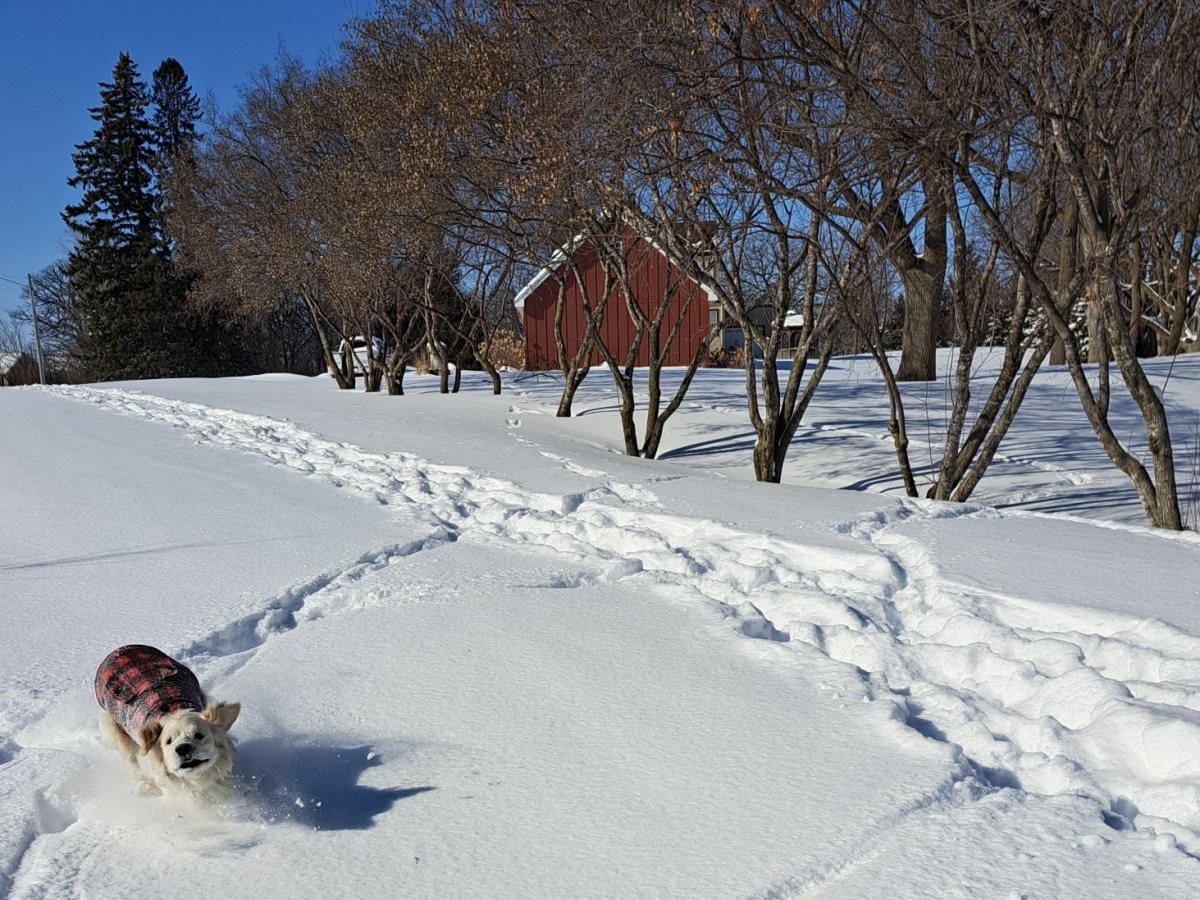 When Axel Transfers&nbsp;Joy