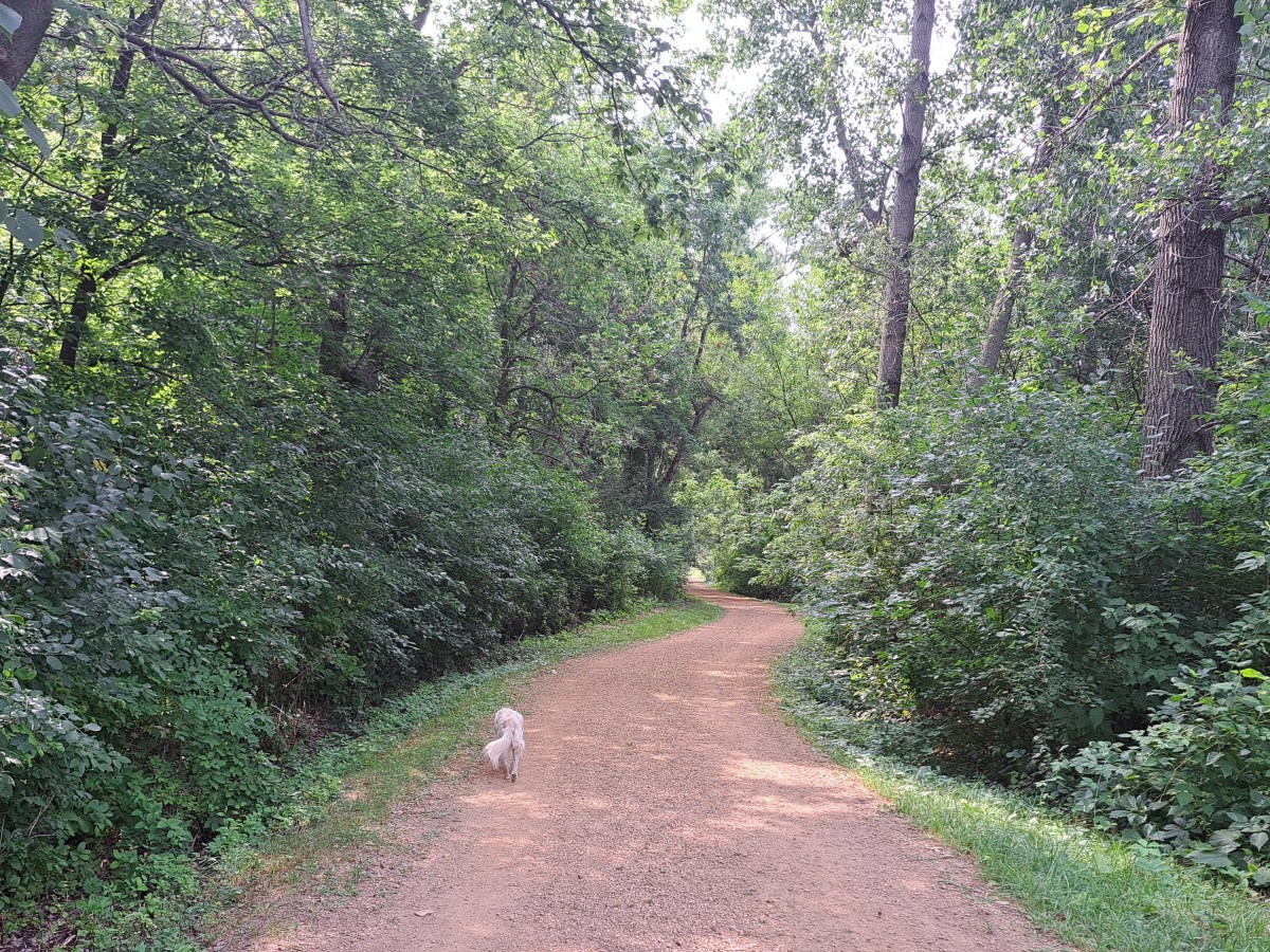 Adjusting my Angle on&nbsp;Angels