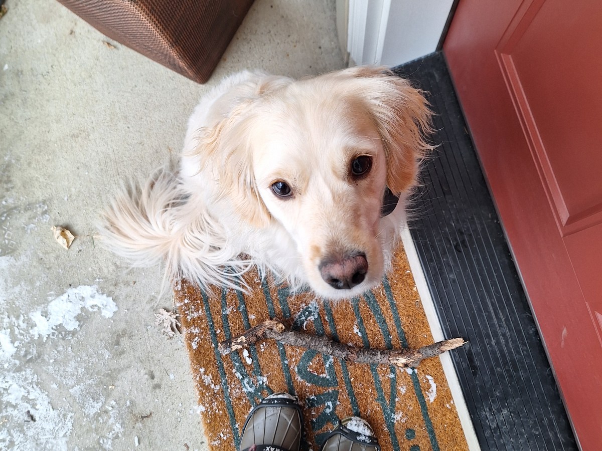 Axel’s Year-End Sermon